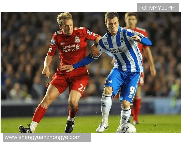 布赖顿主场迎战赫尔城期待精彩对决与激烈竞争